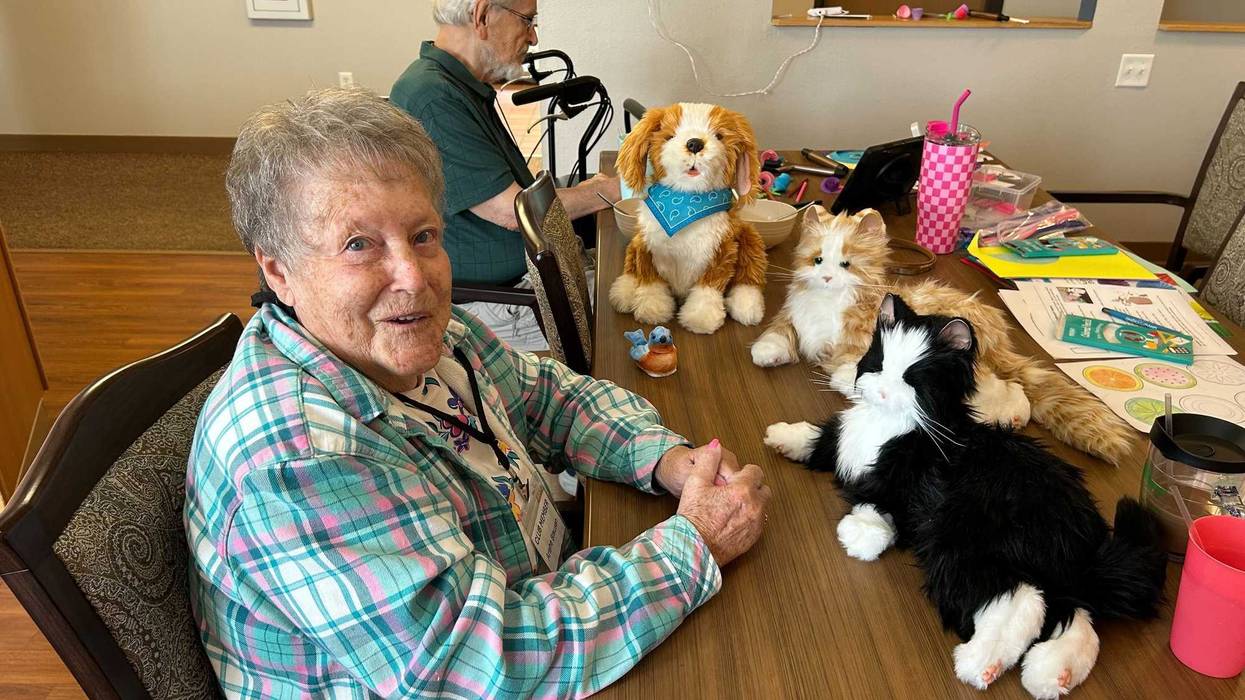 Robotic pets are becoming a helpful tool in nursing homes and at one care facility they're changing the lives of residents.