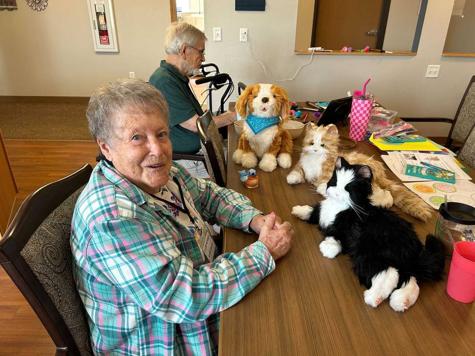 Robotic pets are becoming a helpful tool in nursing homes and at one care facility they're changing the lives of residents.