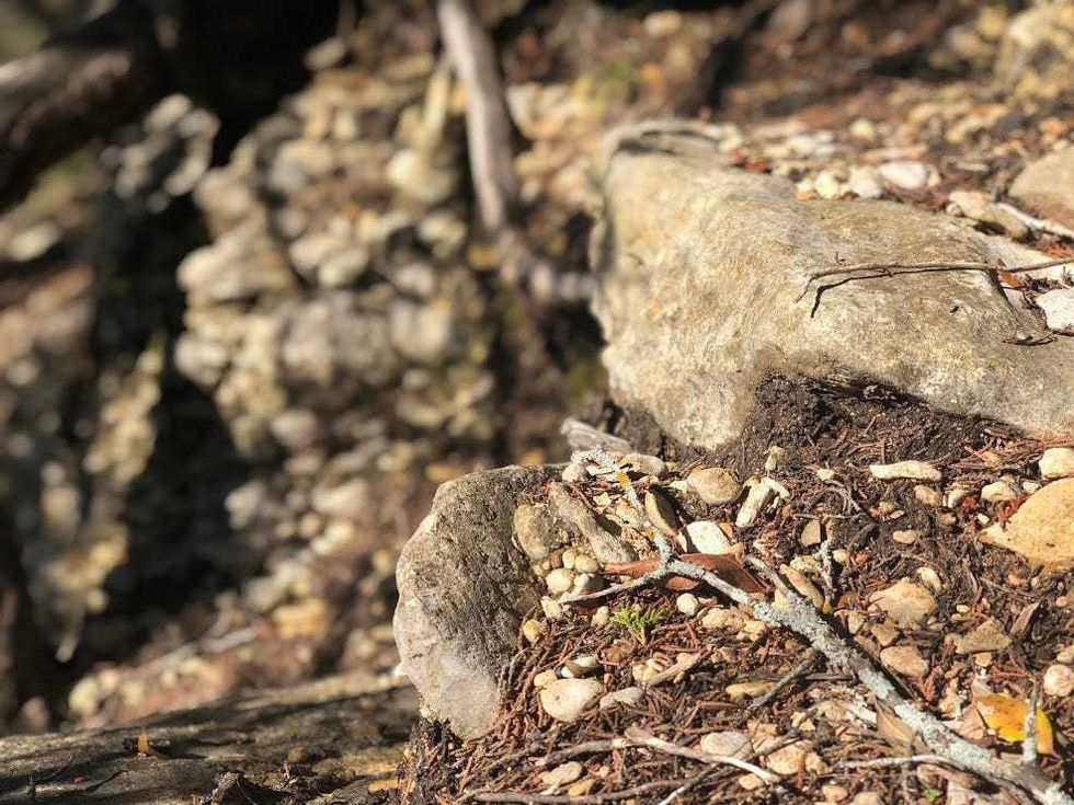 rocks