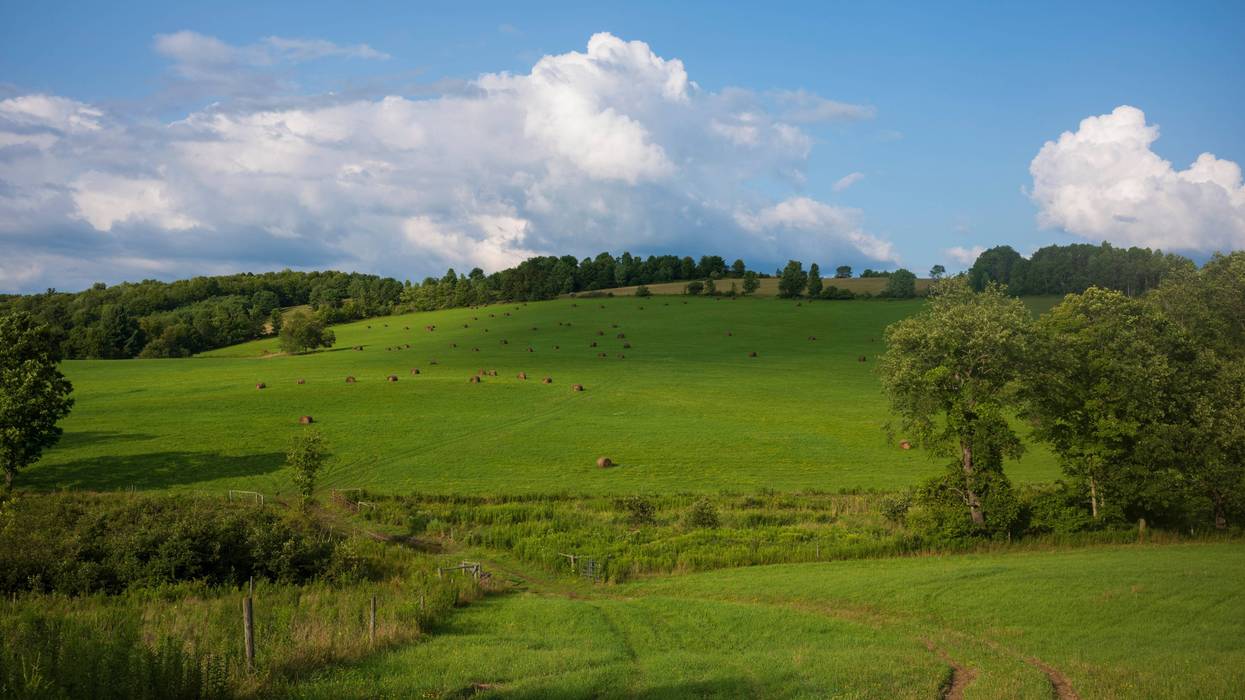 rolling hills, New York