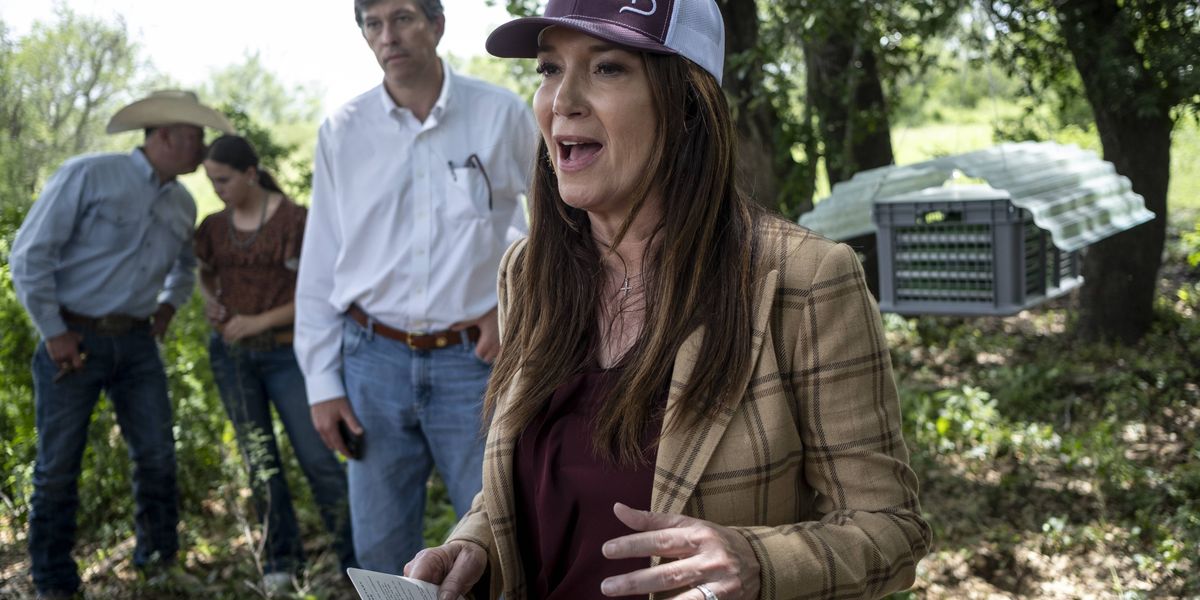 Ag Secretary Brooke Rollins visits FarmFest, saying growing number of farm bankruptcies are