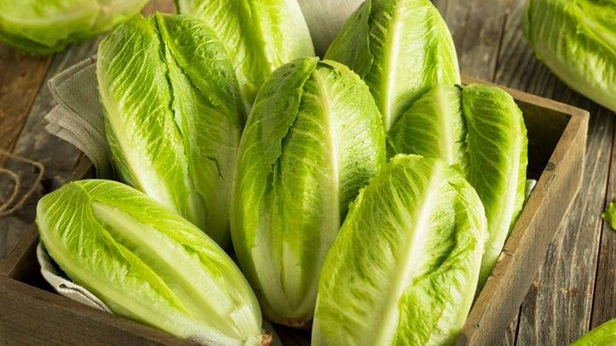romaine hearts