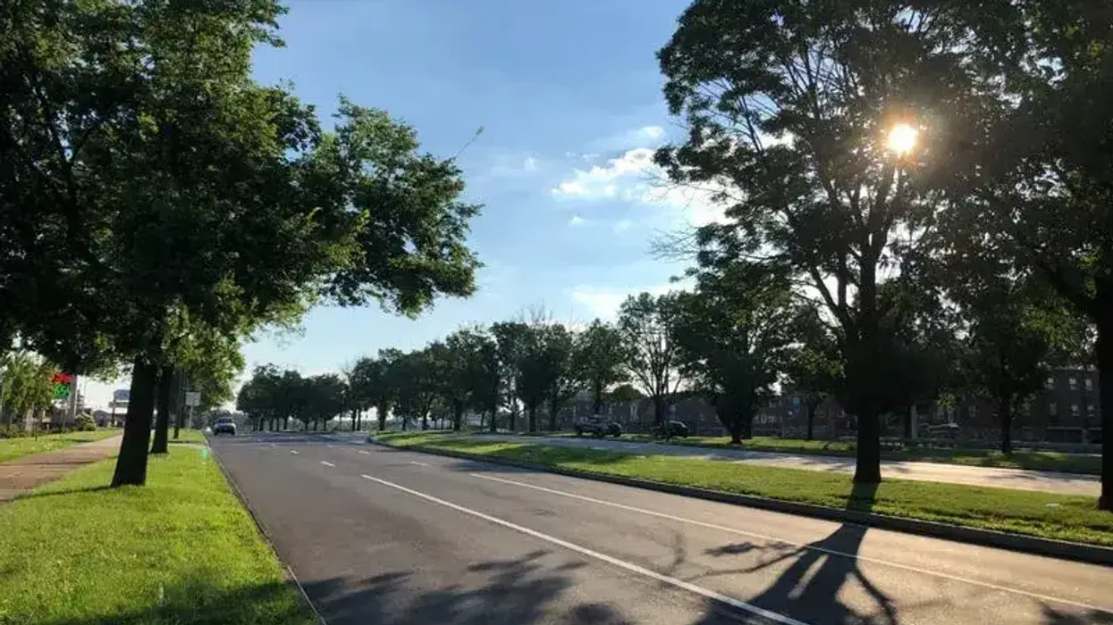Roosevelt Boulevard