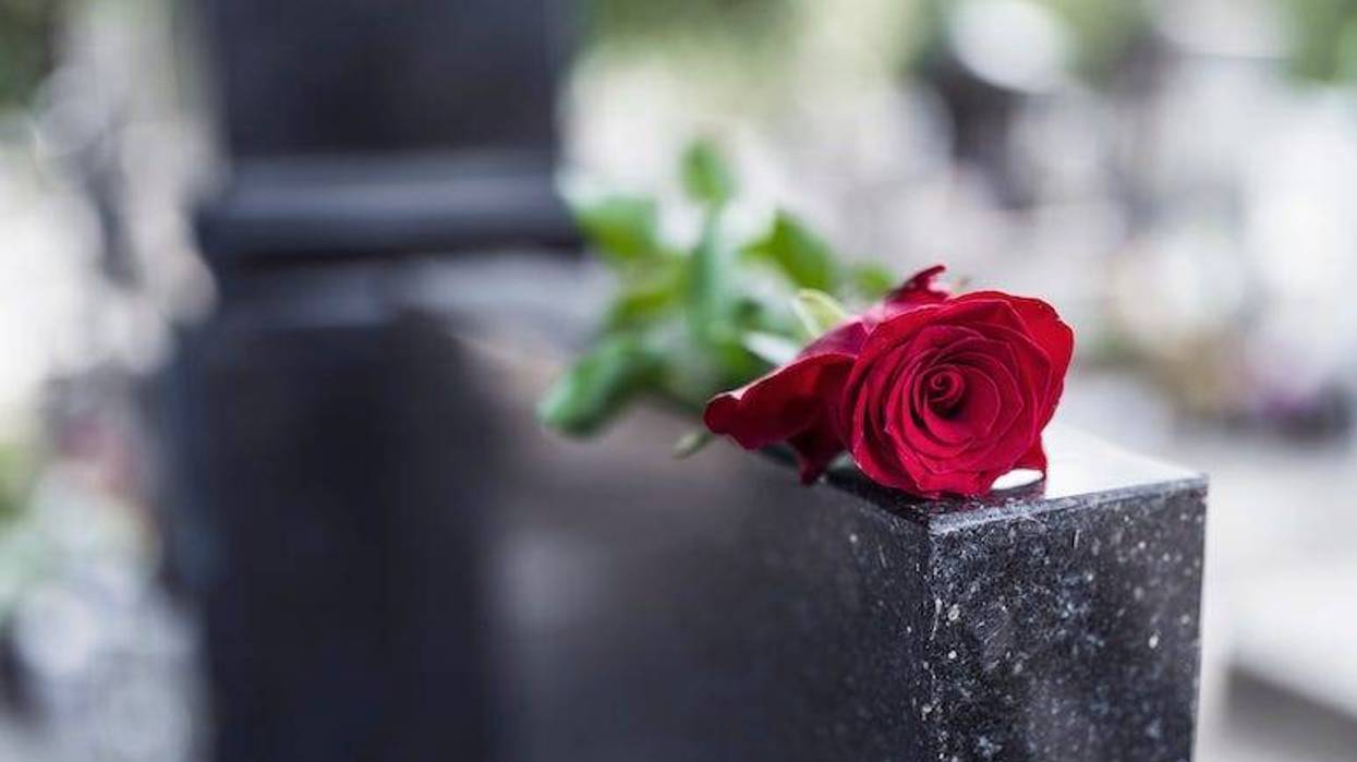 Rose, tombstone, grave
