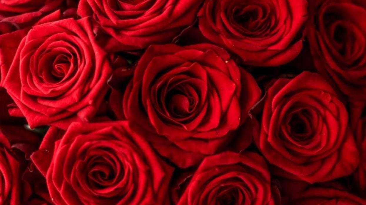 roses
