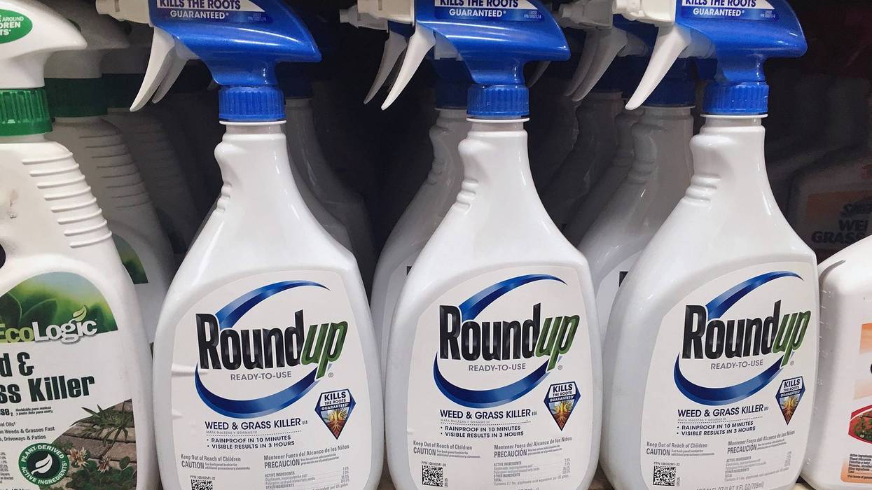 Roundup weed killing products on shelf