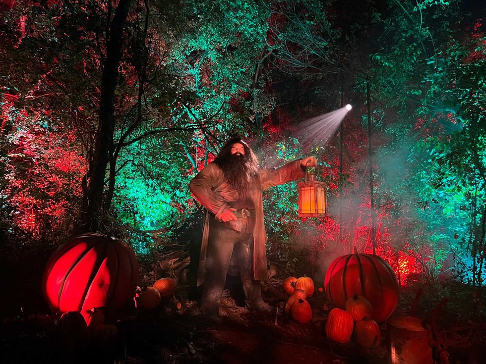 Rubeus Hagrid, the Hogwarts groundskeeper is one of several characters you can meet at the "Harry Potter: A Forbidden Forest" experience at Ingleside