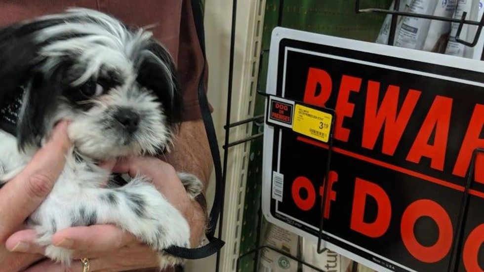 Rudy Roo 4 months 2019 Beware