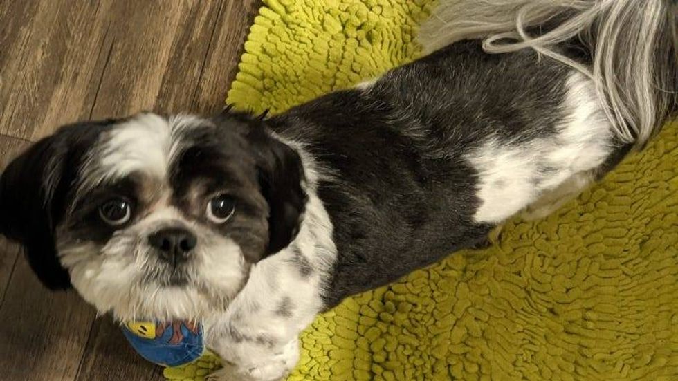 Rudy Roo Heather R 8/4/21