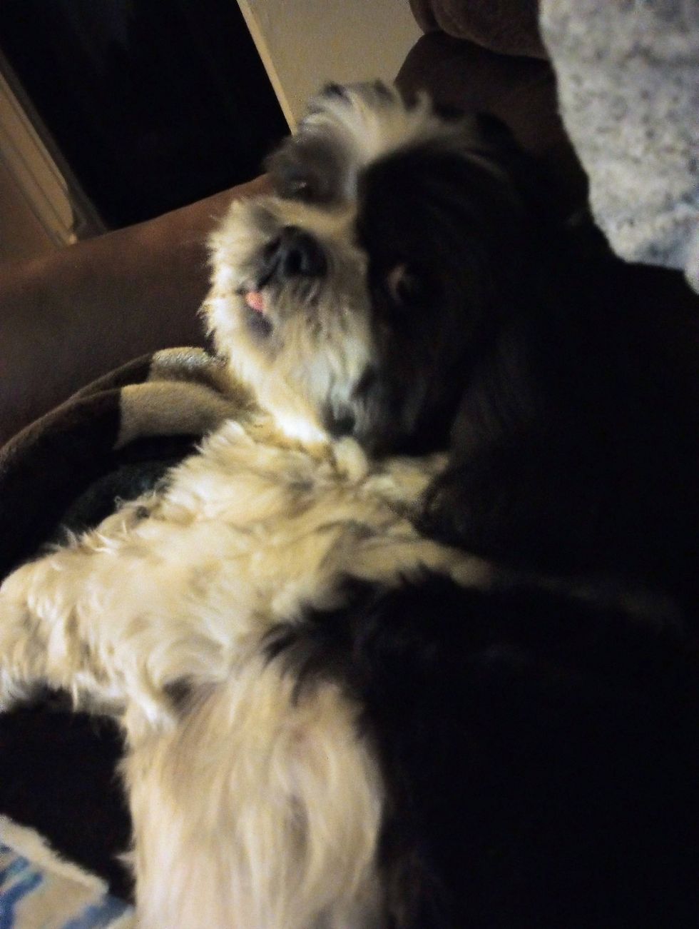 Rudy Roo still not on board with the bunny ears!