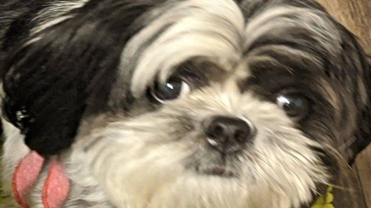 Rudy Roo