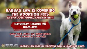 Ruff on Injustice with a Heart for Paws Day