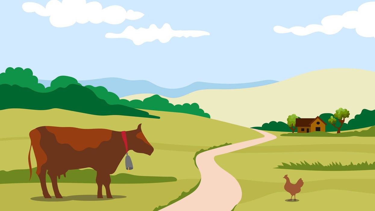 Rural Economy