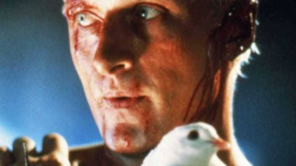 Rutger Hauer in Blade Runner
