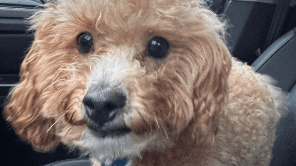 Rylee Parker Via Facebook