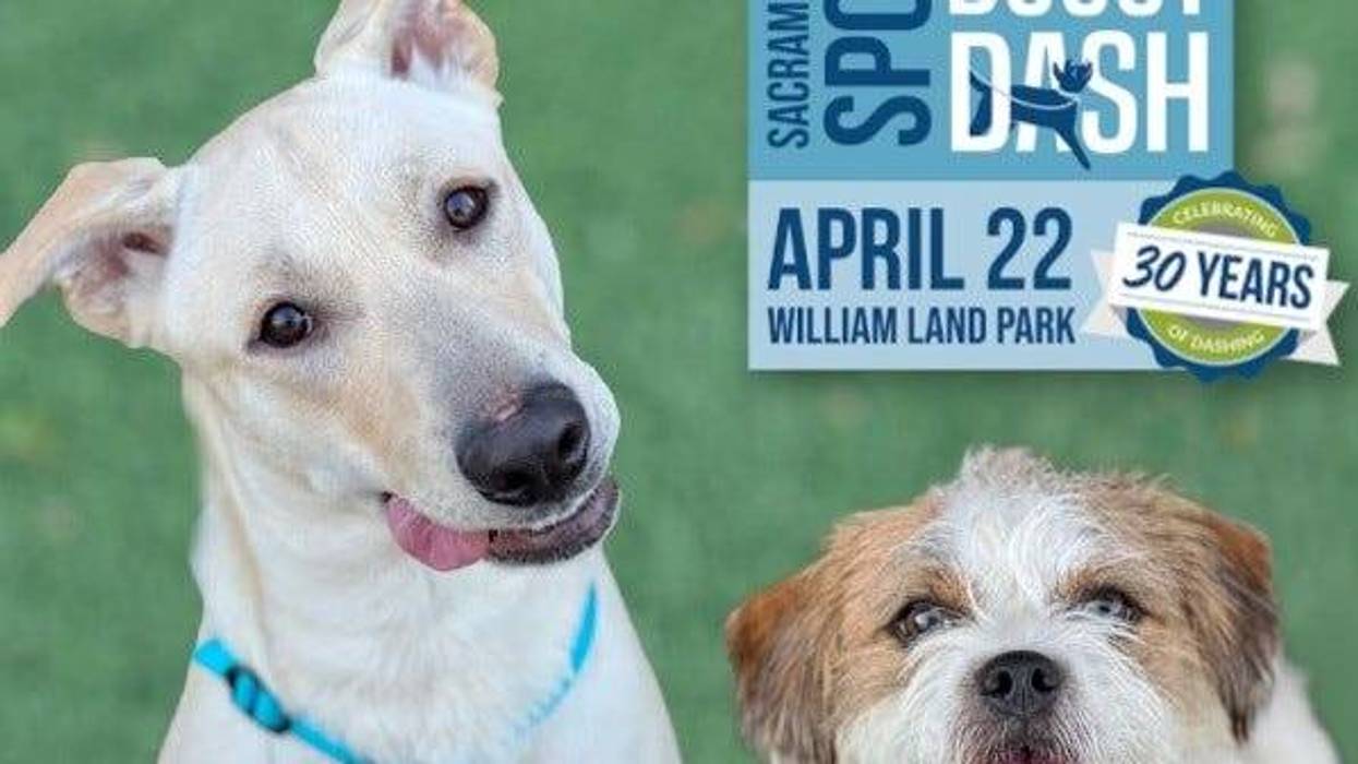 SAC SPCA