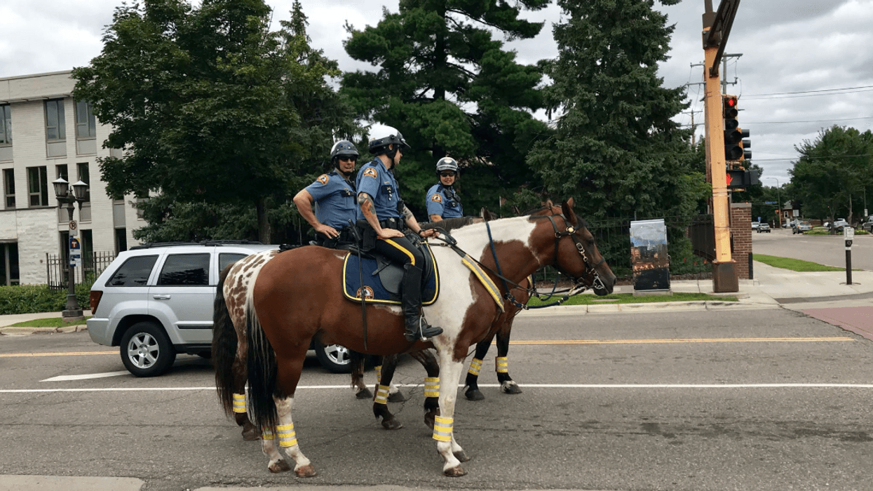 Saint Paul police horses