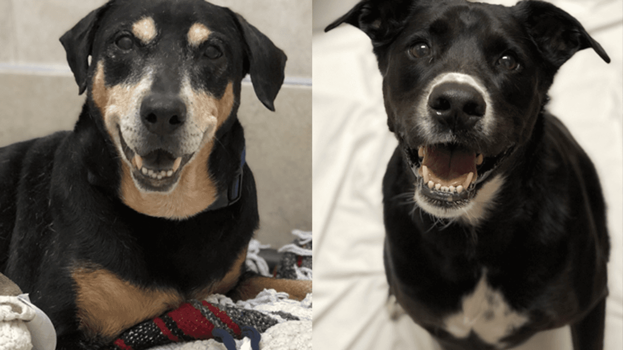 SAM + BUTCH - Yappy Hour