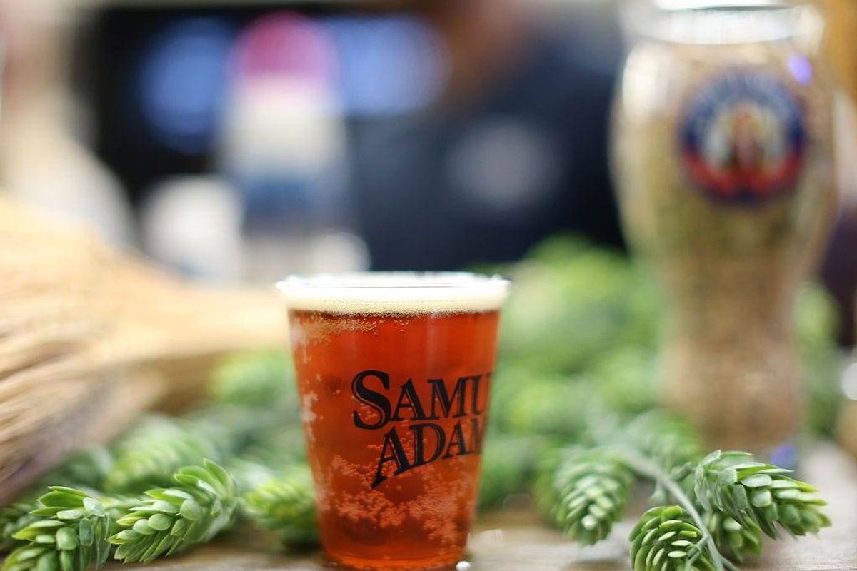 Samuel Adams Beer