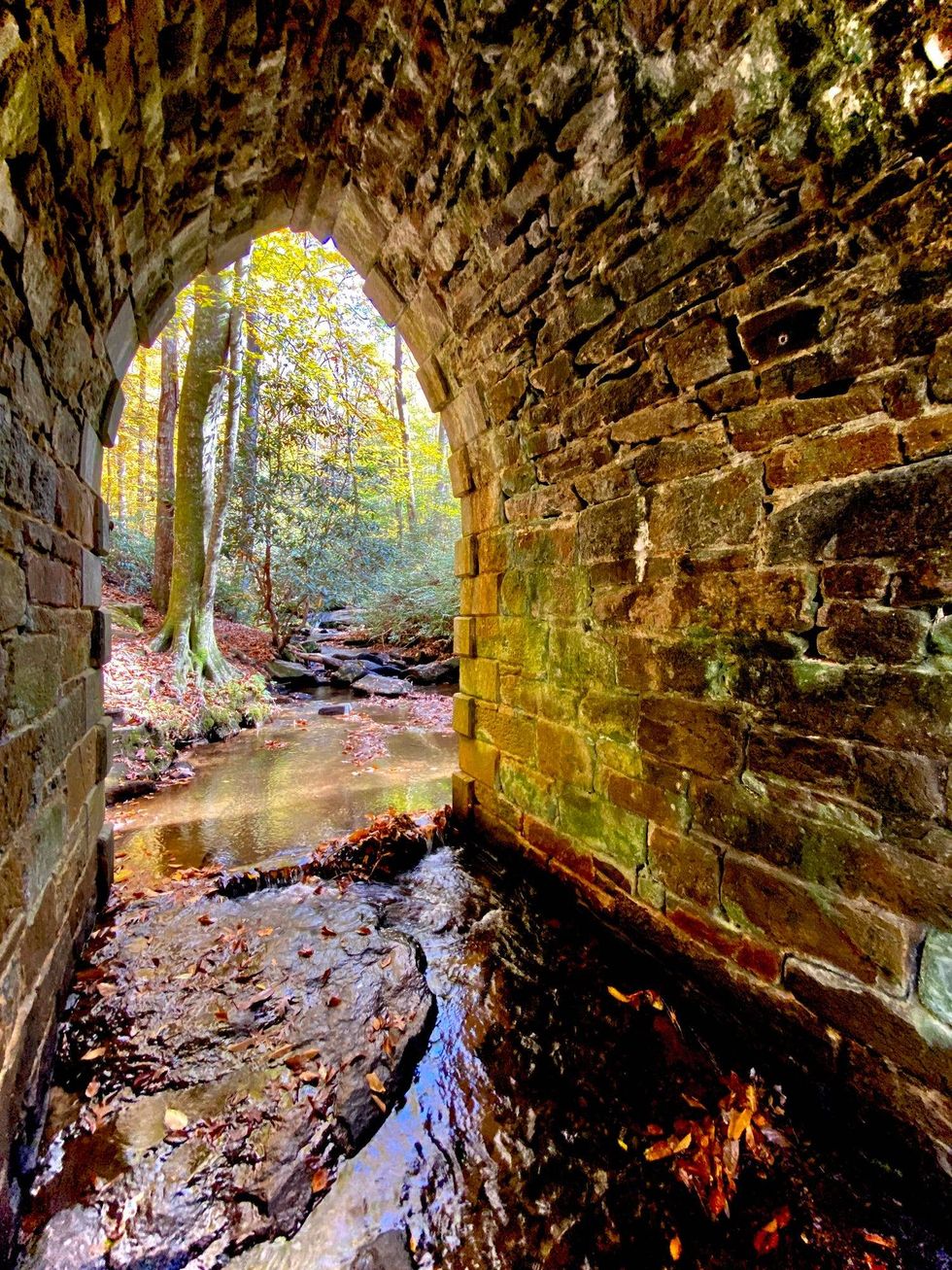 samuelhowell/iStock-Getty Images Plus