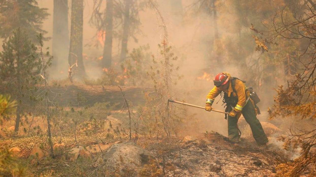 San Jose fire captain Brett Blean uses a hand tool to extinguish hot spots while battling the Dixie Fire on August 12, 2021 near Westwood, California.