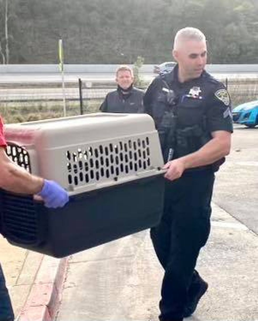 San Rafael Police help rescue Ivy.