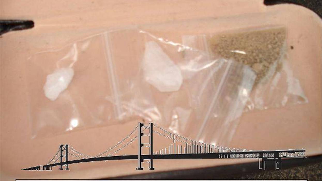 sane drug bust