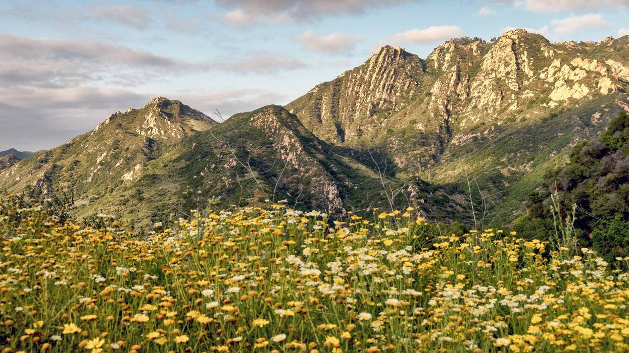 Santa Monica Mountains