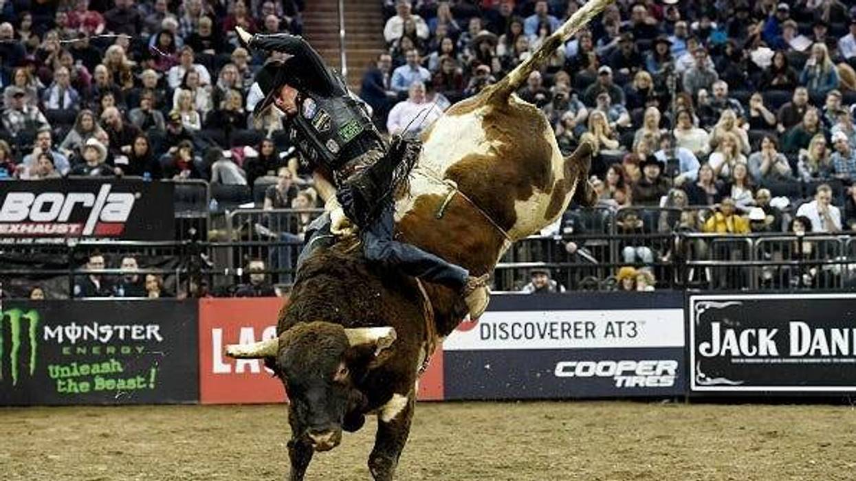 Sarah Stier / Stringer Editorial #: 1090299596 Collection: Getty Images Sport