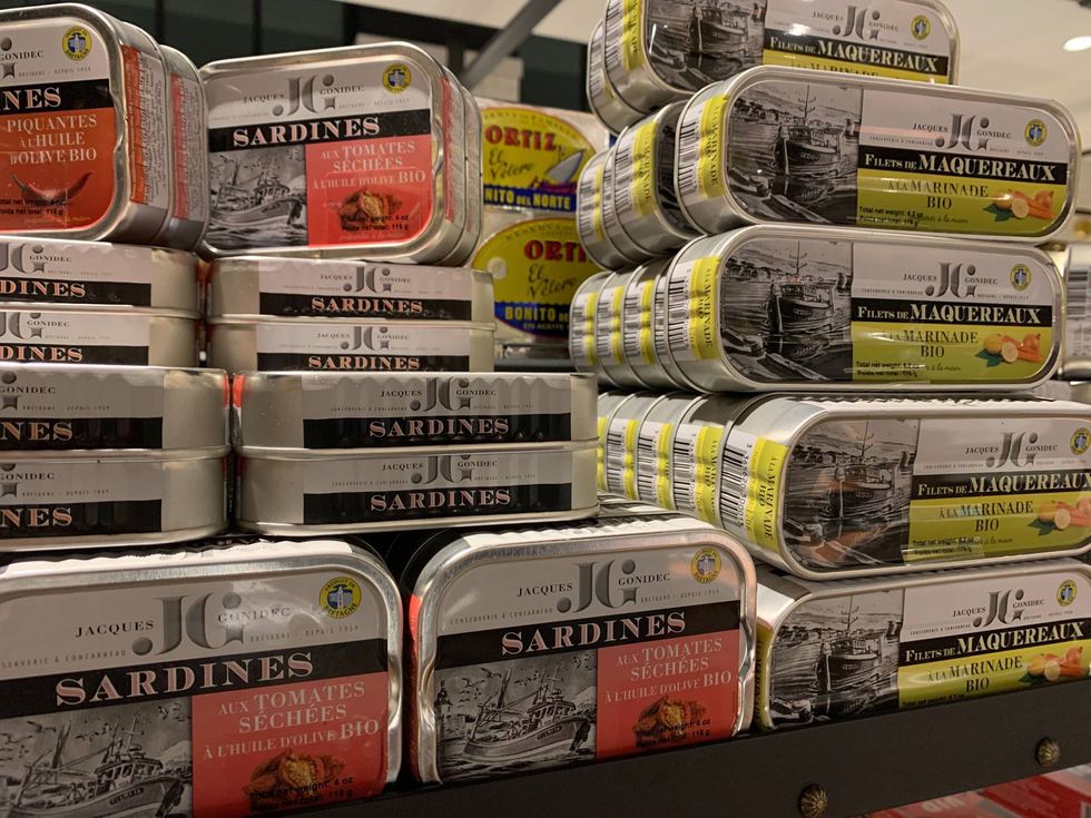Sardines