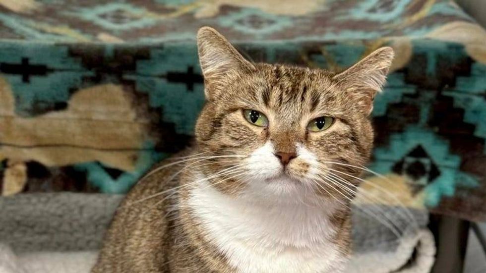 Sassafrass @ Austin Humane Society 8/14/24