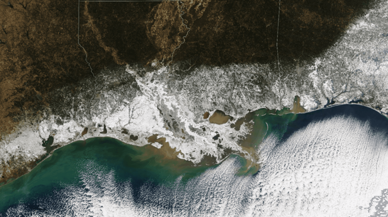 Satellite image of snow over Louisiana