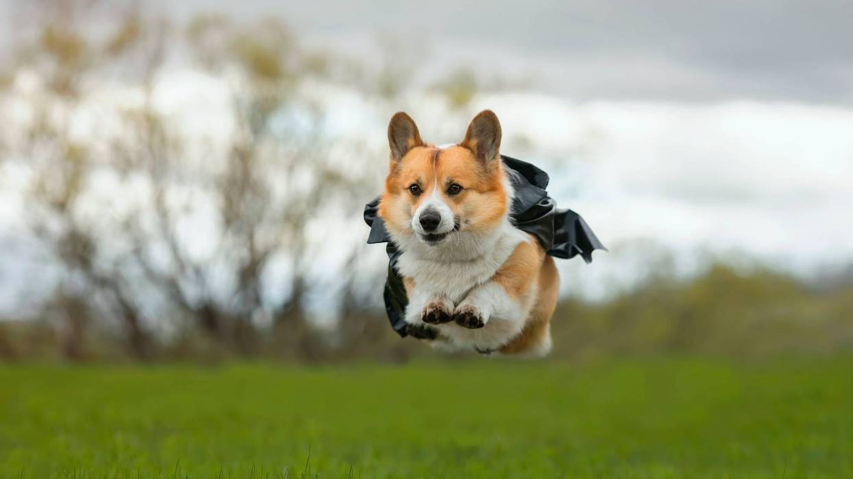 Saturday brings summer-like temperatures, windy cold front arrives Sunday