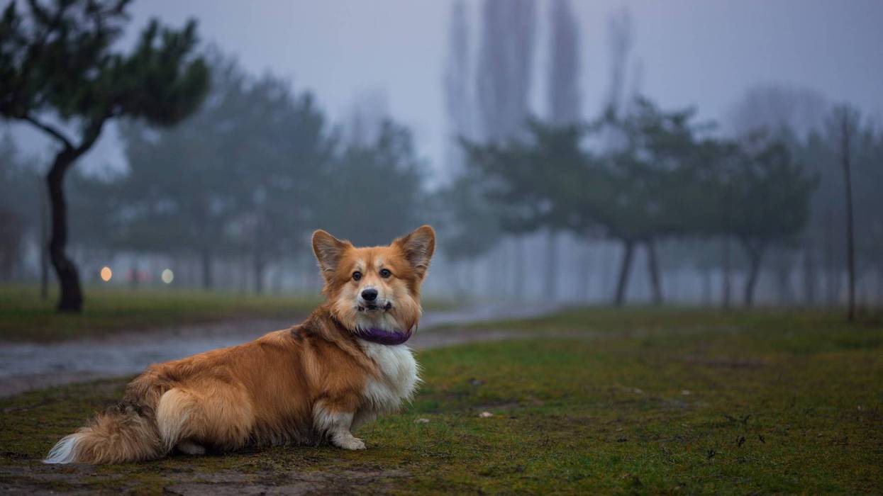 Saturday starts the weekend foggy