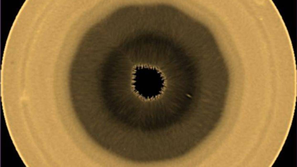 SATURNO