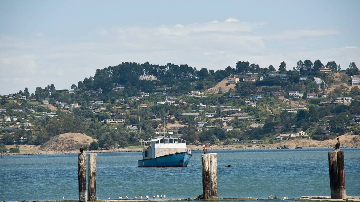 Sausalito Bay facing Tiburons shore with an "anchor out" boat in the water.
