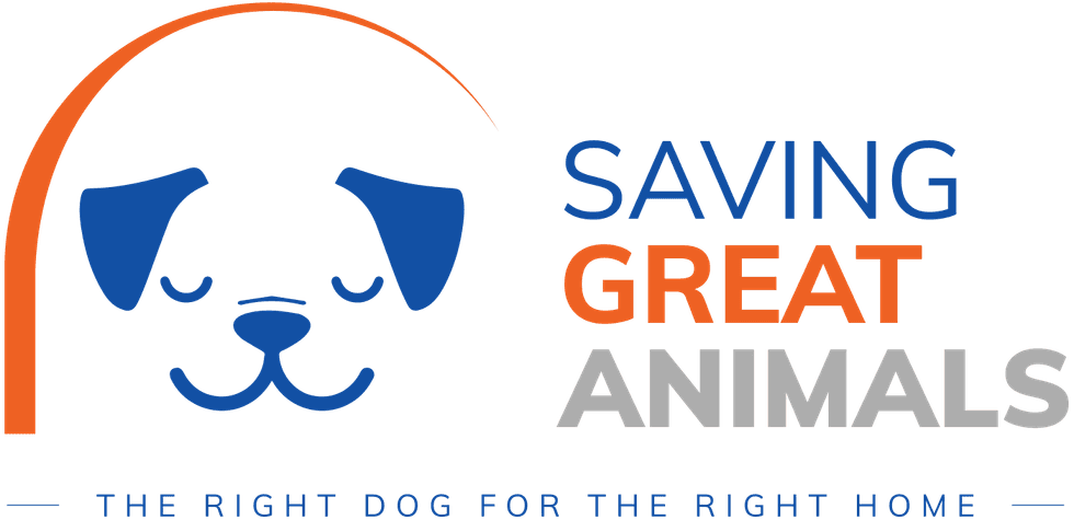 Saving Great Animals