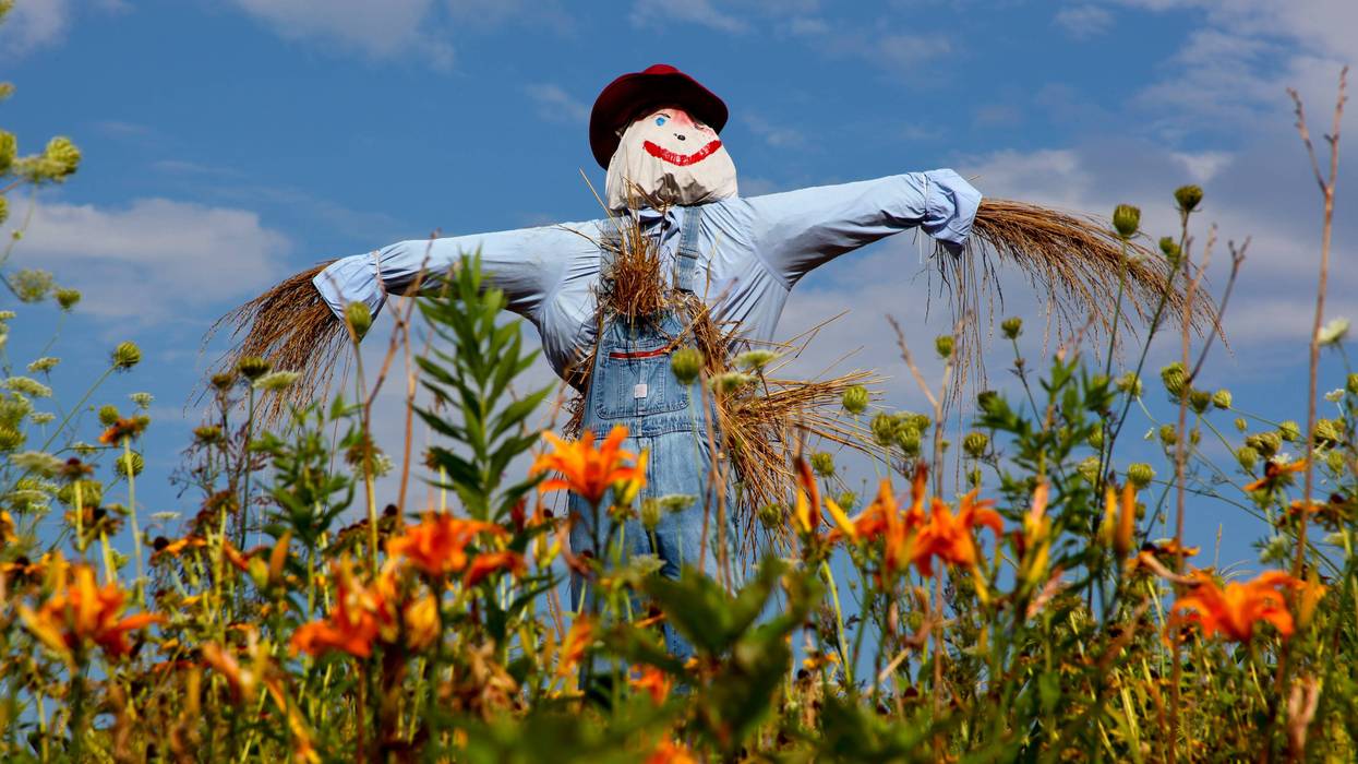 scarecrow