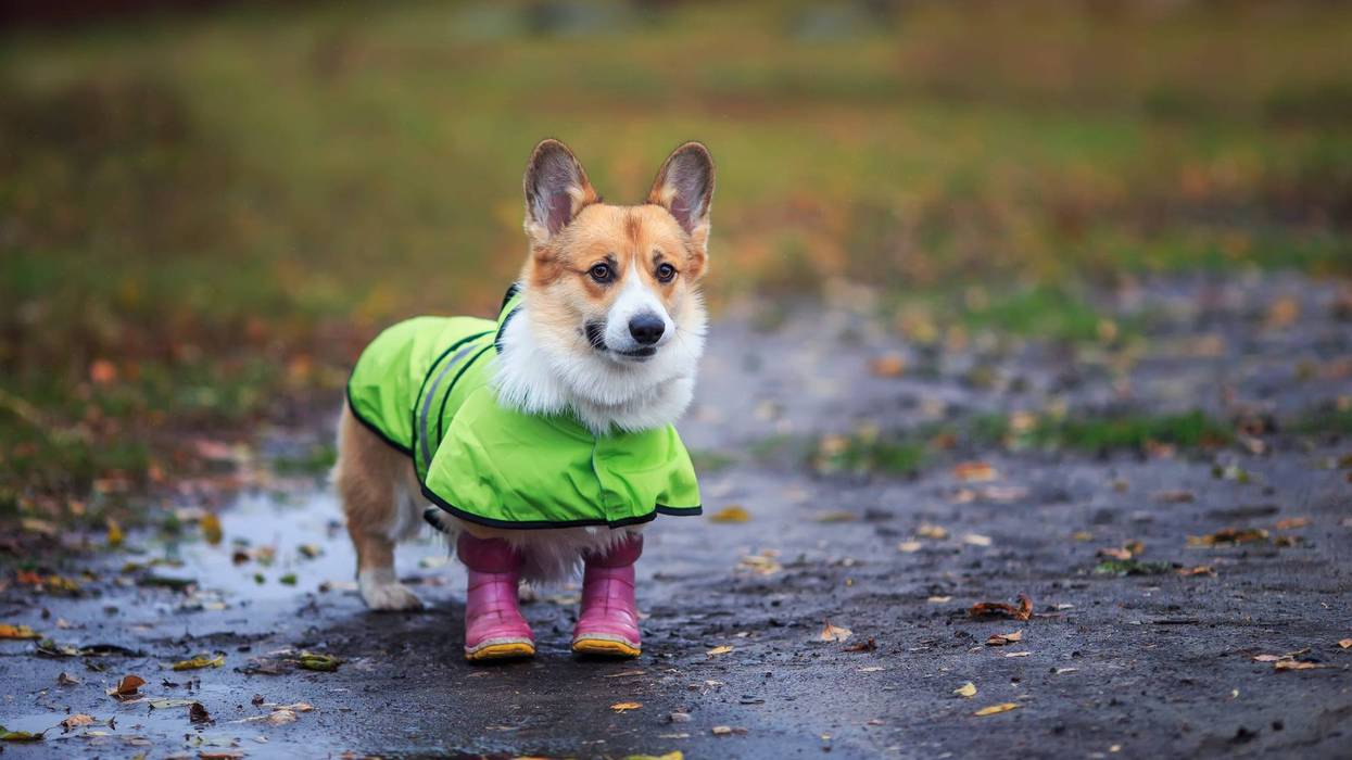Scattered showers start this weekend