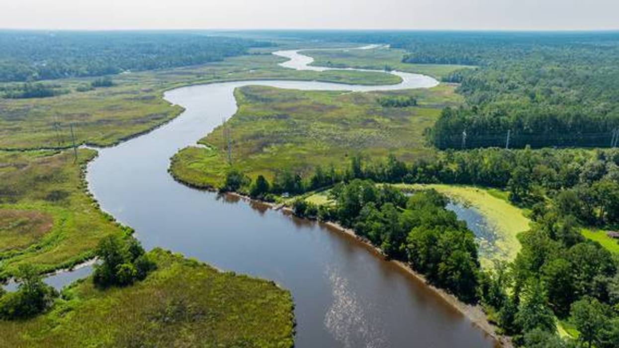 SCDNR Seeks Public Input to Help Shape Ashley Scenic River Management Plan