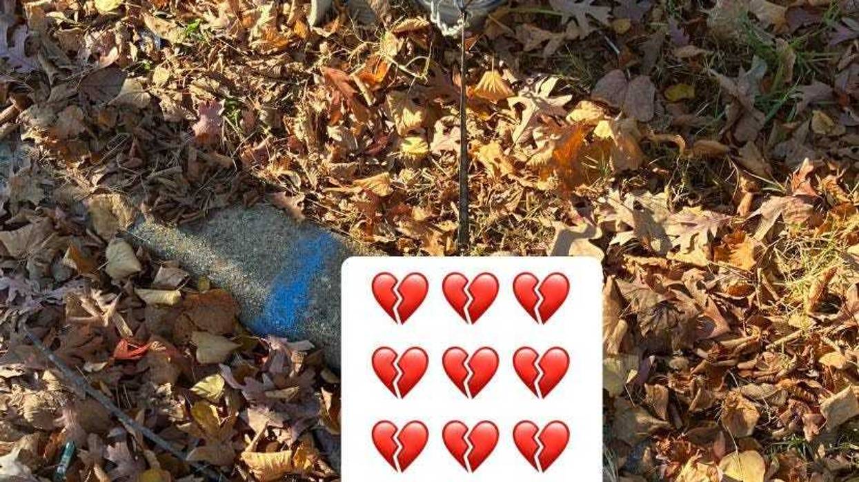 Scene of dog's death
