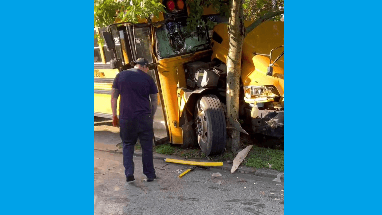 Pittsburgh school bus crashes into tree