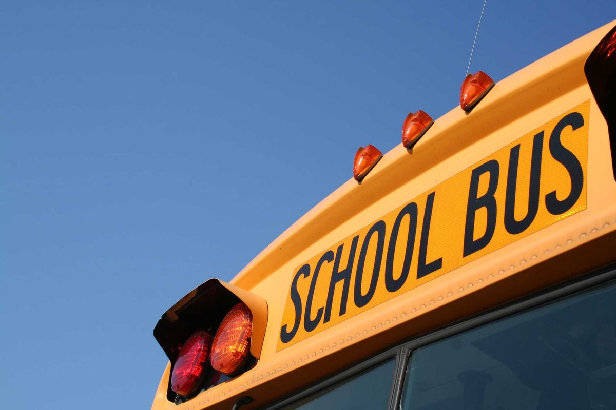 School bus stock photo.