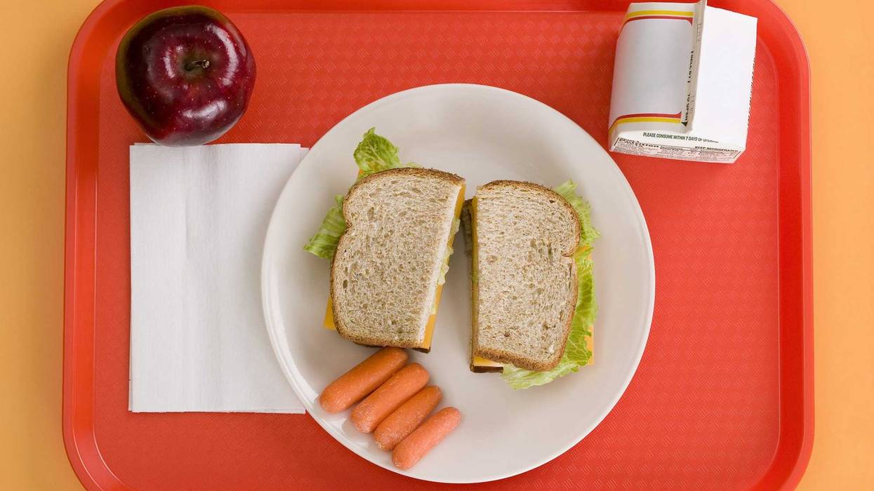 School lunch stock photo