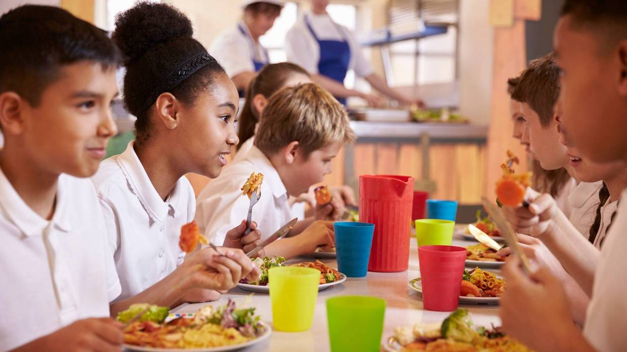 school meal