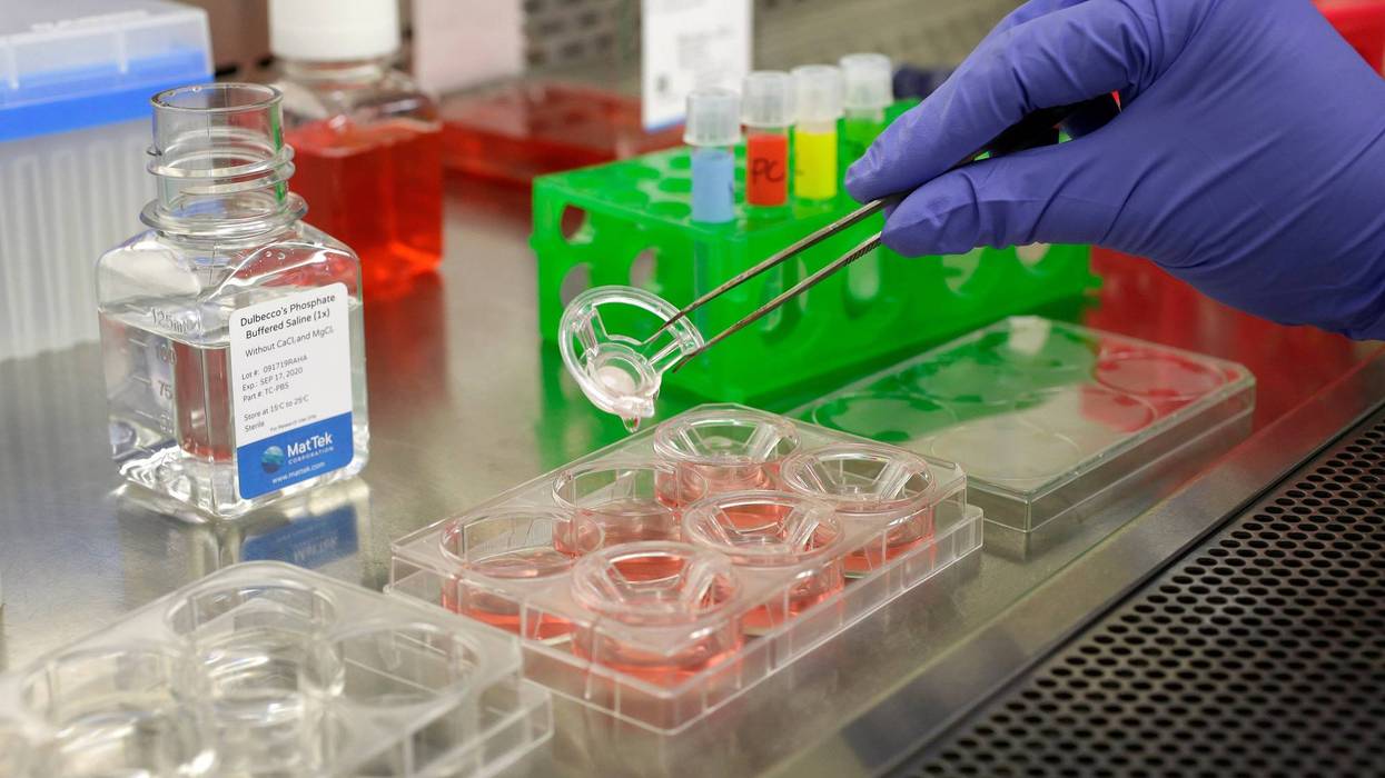 Scientist and study director Jennifer Molignano uses forceps to transfer living human skin tissue to plates with saline solution on Wednesday, Jan. 15, 2020.
