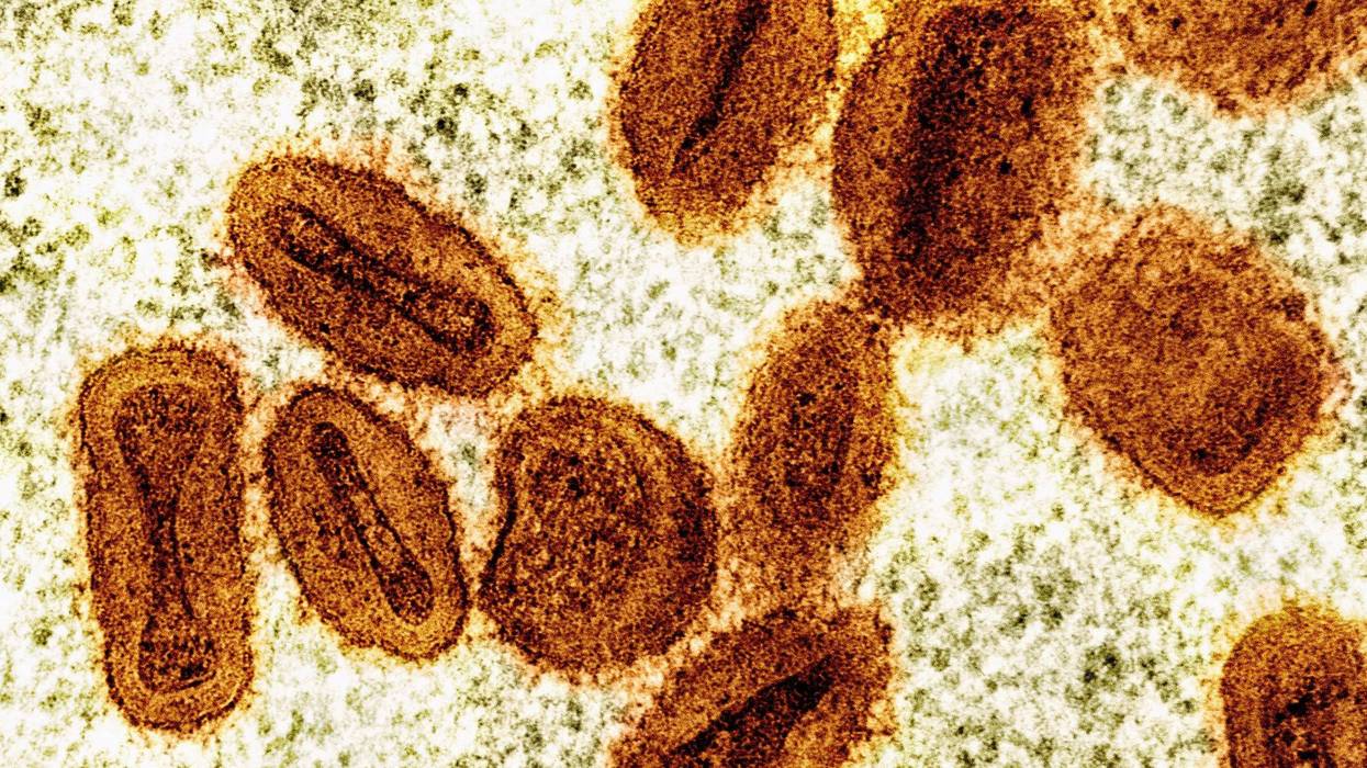 Scientists Charged Mpox 971