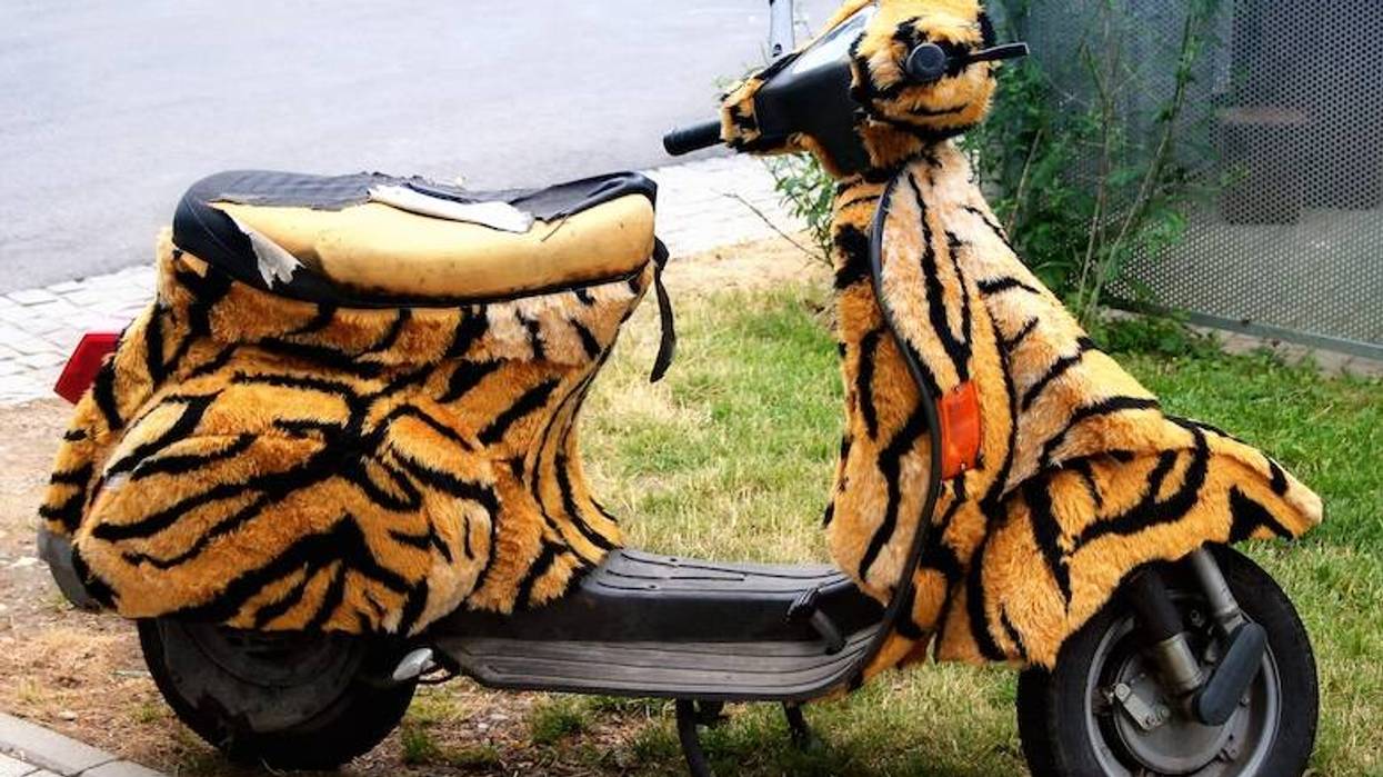 Arlington couple offering animal-themed scooter tours during World Cup