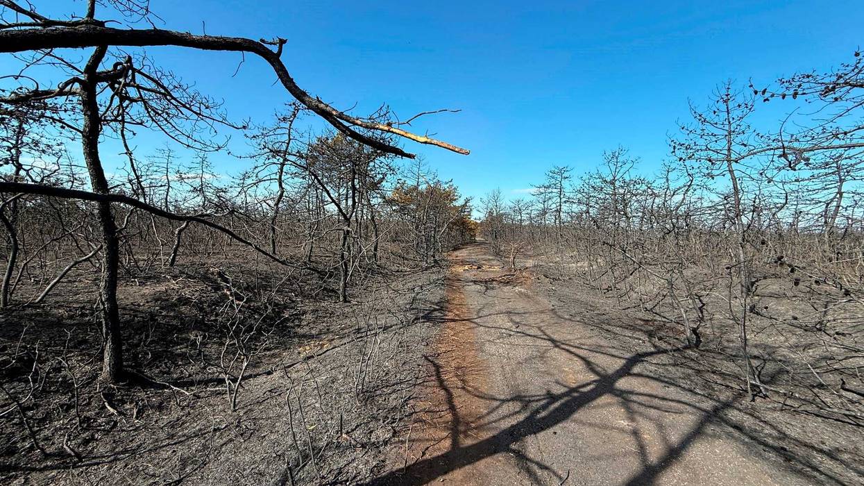 Scorched earth remains after a brush fire in Westhampton, New York on March 9, 2025.