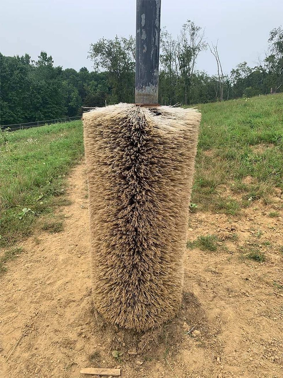 Scratching post for the buffalo made from an old street sweeper brush from the Allegheny County Street Maintenance crew